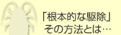 「根本的な駆除」その方法とは...