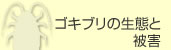 ゴキブリの生態と被害