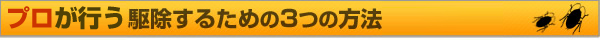 駆除するための３つの方法