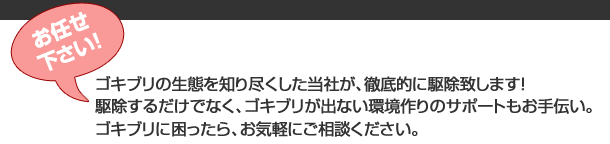 お任せ下さい！／ゴキブリの生態を知り尽くした当社が、徹底的に駆除致します！　駆除するだけでなく、ゴキブリが出ない環境作りのサポートもお手伝い。ゴキブリに困ったら、お気軽にご相談ください。