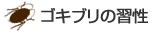 ゴキブリの生態/1.ゴキブリの習性