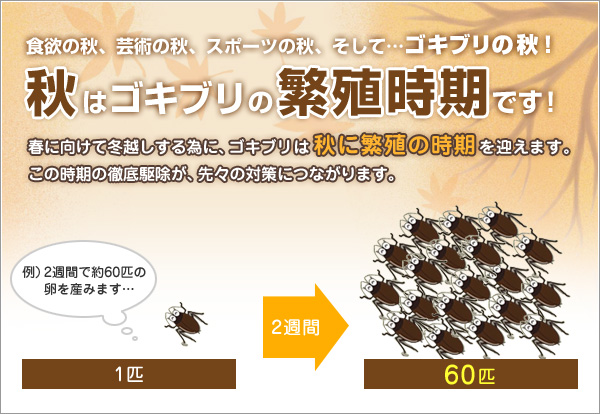 飲食店、法人様の方も大歓迎