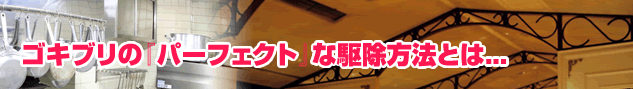 ゴキブリの『パーフェクト』な駆除方法とは。。。