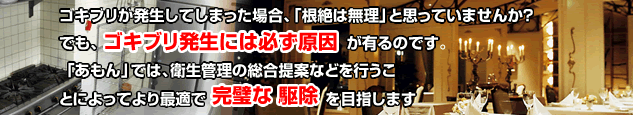 ゴキブリが発生してしまった場合、「根絶は無理」と思っていませんか？